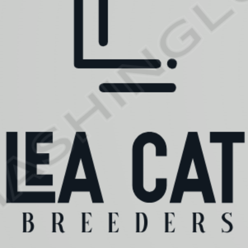 leacatsbreeders